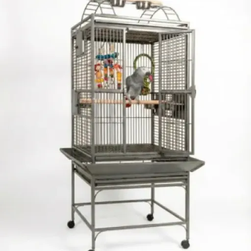 Test Cage Perroquet Complète Sun Cages : une grosse cage costaud, pratique mais pas parfaite