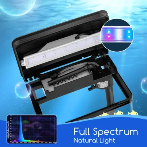Test Nobleza Aquarium 14L : un petit kit pratique mais avec quelques limites