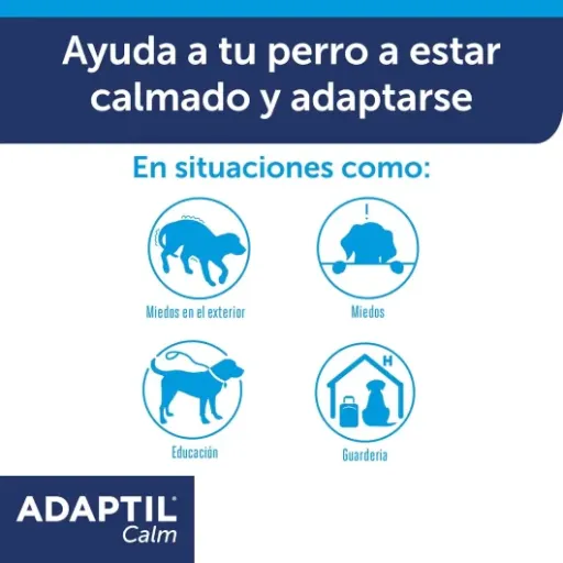 Test ADAPTIL Calme Collier S : un coup de pouce anti-stress… quand ça marche