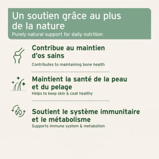 Test AniForte Gélules d’Huile de Saumon 500 : pratique, pas glamour, mais efficace pour le poil
