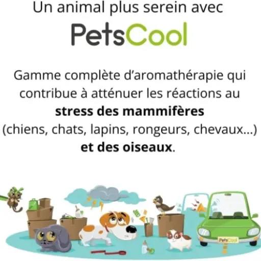 Test PetsCool Spray apaisant Anidev : le pschitt anti-stress qui dépanne (quand ça marche)