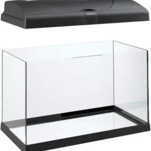 Test Hydor/Ferplast Aquarium 60L : un kit complet correct pour débuter sans se prendre la tête