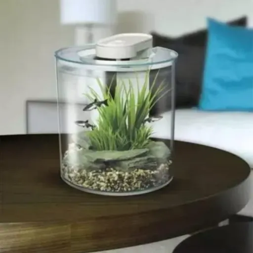 Test Marina 360 Aquarium 10 L : joli petit bac d’appoint, mais avec quelques limites