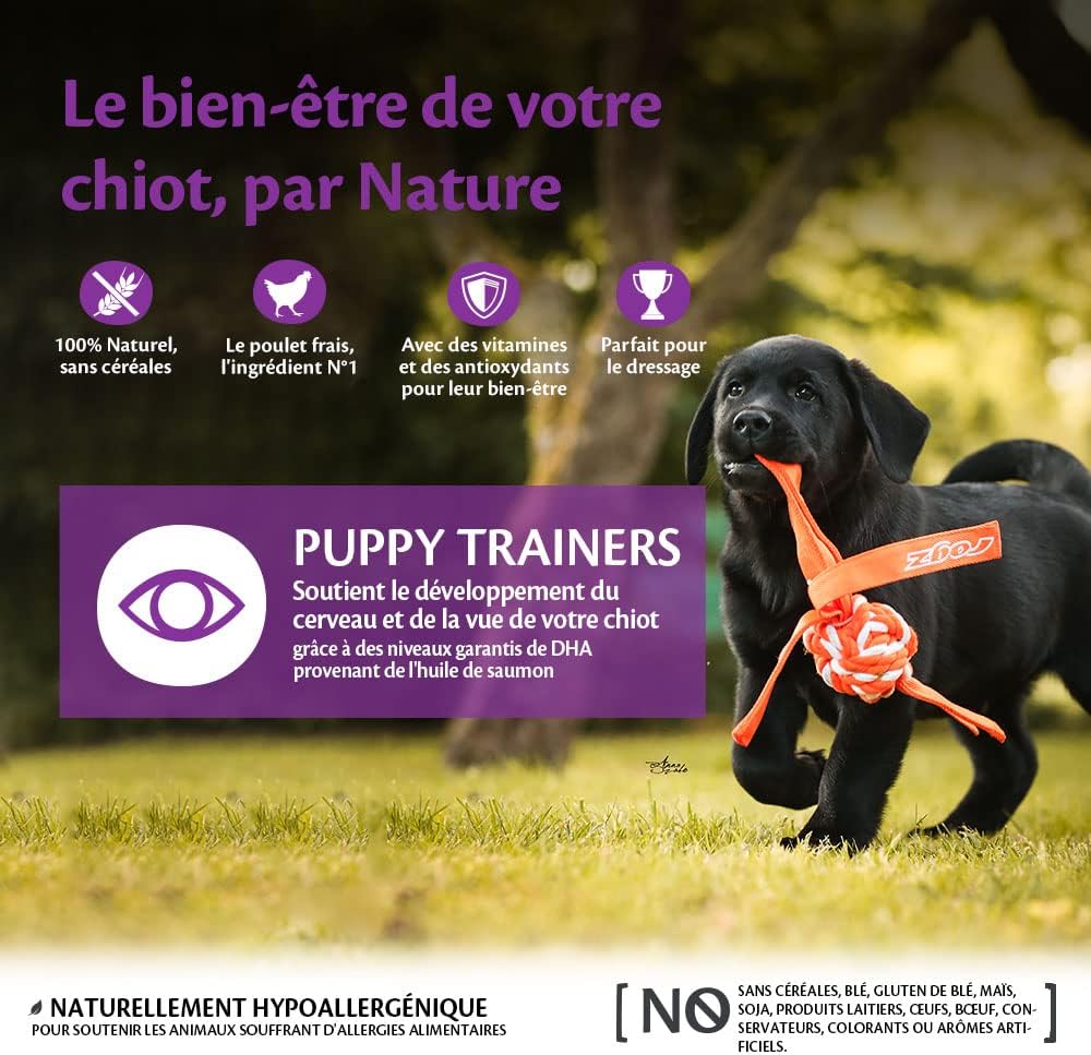 Training Treats 170g, Poulet/Carottes – Friandises pour Chiots, sans Céréales, Naturelles, Hypoallergénique, Riche en protéines, À Haute Teneur en Viande, Parfaites pour l'Apprentissage Poulet et carottes 170 g (Lot de 1)