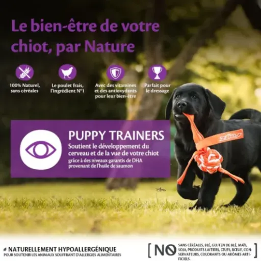 Test Wellness CORE Training Treats Poulet/Carottes : des petites friandises de dressage qui font le job