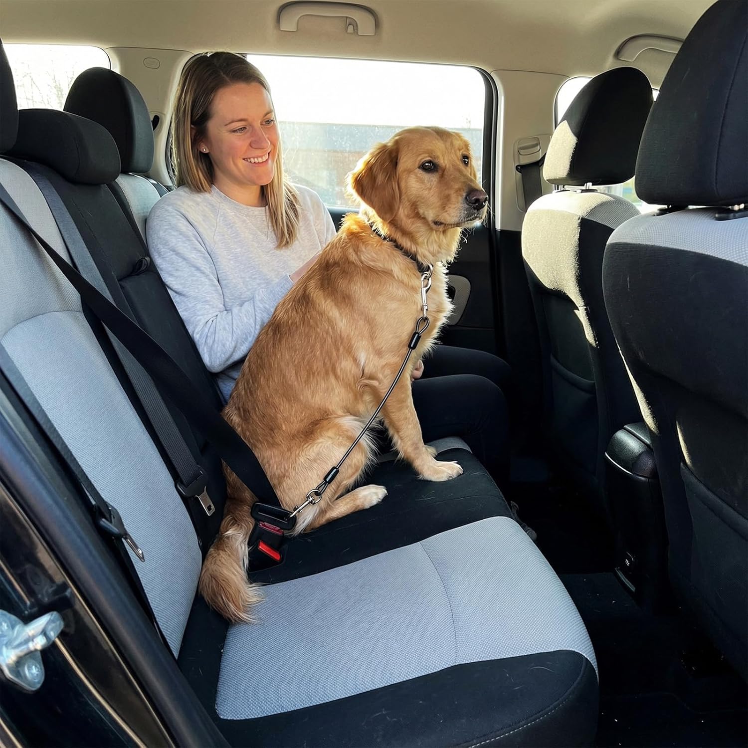 Ceinture Voiture Chien - Harnais de Sécurité Anti-Morsure avec Câble Acier, Ceinture Chien Voiture 2 Tailles (80x5mm & 60x4mm), pour Sécuriser Toutes Races en Transport