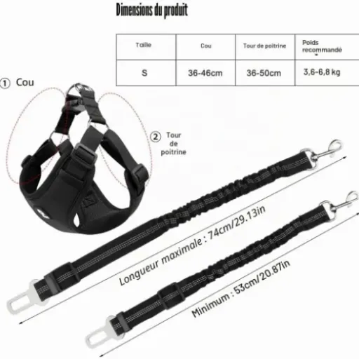 Test Ensemble Harnais + Ceinture WhizNook : simple, pas parfait, mais ça sécurise le chien en voiture
