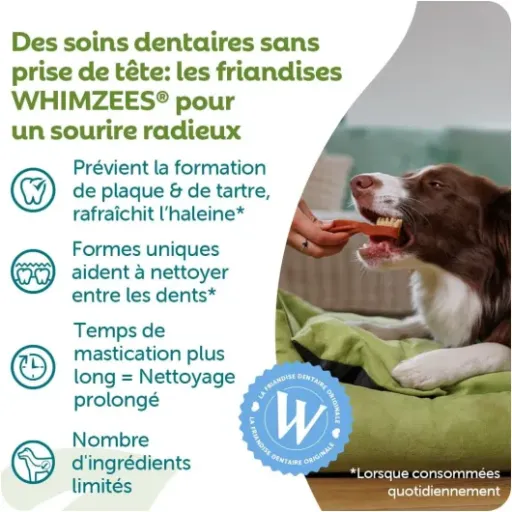 Test WHIMZEES Boîte de Variété S : des friandises dentaires dures qui occupent vraiment le chien