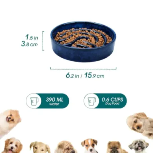 Test vancasso Gamelle Anti Glouton 390 ml : une petite gamelle en céramique qui calme vraiment les gloutons