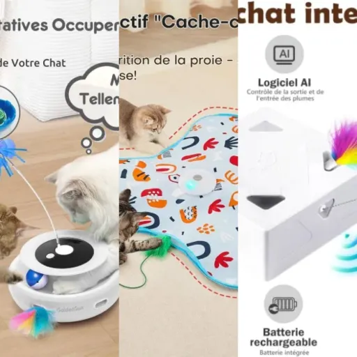9 meilleurs jouet interactif chat : notre comparatif (juin 2026)