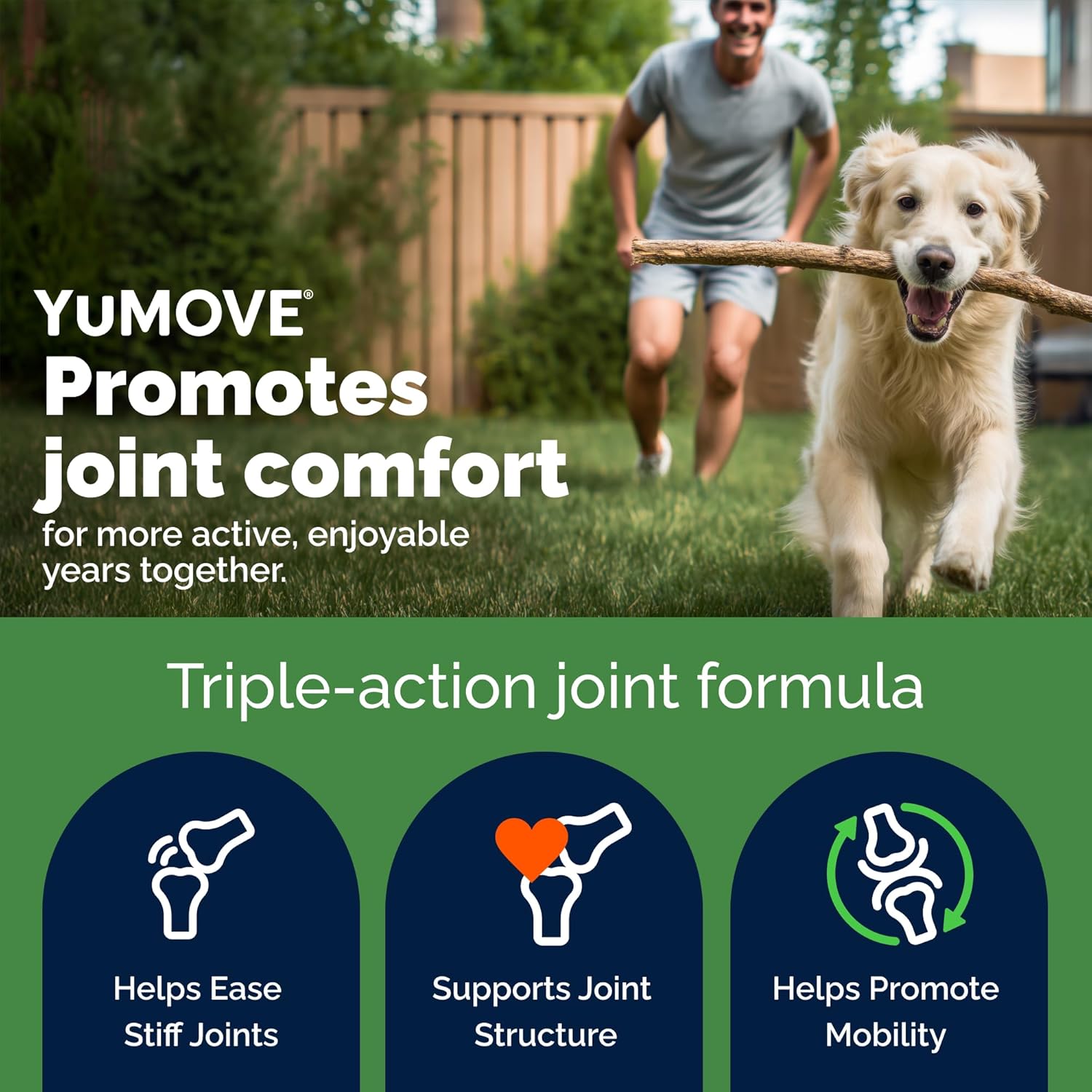 Arthrose Chien 5-8 Ans - 120 Comprimés - 150mg par Comprimé Brevet en Instance ActivEase Moule Verte Chien - Glucosamine et Chondroïtine pour Mobilité - Complément Articulation Savoureux Chiens adultes - 120 comprimés