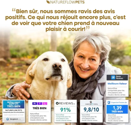 Comprimés Anti Arthrose Chien Senior & Sport - Articulations, Mobilité – Moule Verte, Harpagophytum, Glucosamine, Chondroïtine, MSM – 100 Comprimés Sécables (6 Mois <20 kg) [172 Z]