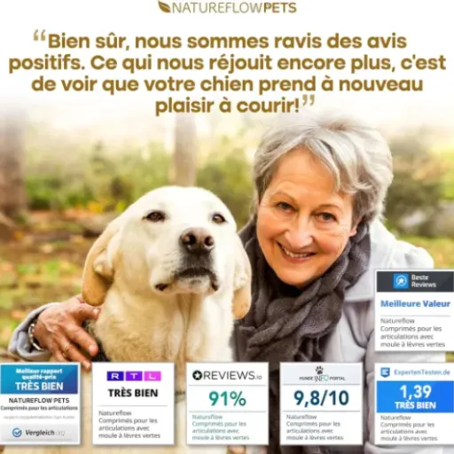 Test Comprimés Anti Arthrose Chien Senior & Sport : un complément articulaire simple qui fait le job