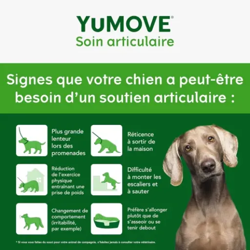 Test YuMOVE Arthrose Chien Seniors 8+ : des bouchées articulaires qui font (globalement) le job