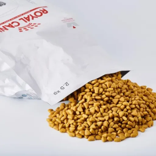 Test Royal Canin Hypoallergenic DR 25 : les croquettes véto qui calment (vraiment) l’estomac des chats sensibles
