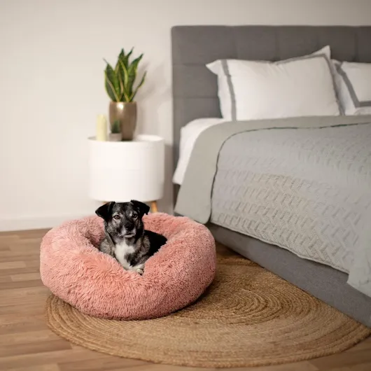 Lionto Lit Donut pour Chiens et Chats, lit Rond Moelleux pour Petits et Grands Animaux domestiques, Ø60 cm, lit pour Chats en Peluche Doux, Coussin pour Chien avec Rembourrage Extra épais, Rose L 60 x l 60 x H 20 cm Rose
