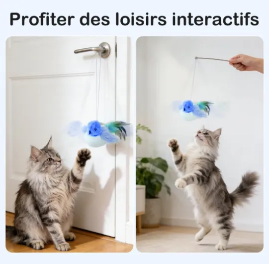 71yyqiX8kkL._AC_SL1447_