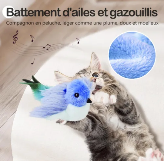 71LO1vje0wL._AC_SL1447_