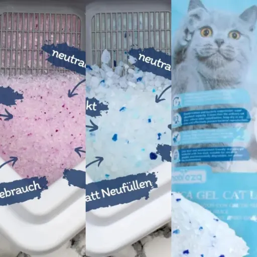 Top 4 des meilleurs litière silice chat (juin 2026)