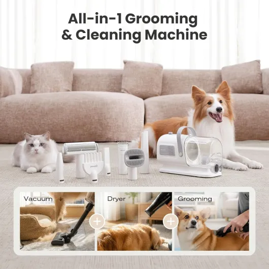 Kit de Toilettage Chien Chat Silencieux 55dB – Pecute Aspirateur Souffleur 3-en-1, Séchage Rapide Après Pluie, Tondeuse Animaux Sensibles au Bruit, 7 Accessoires de Toilettage, Capacité 1,7L