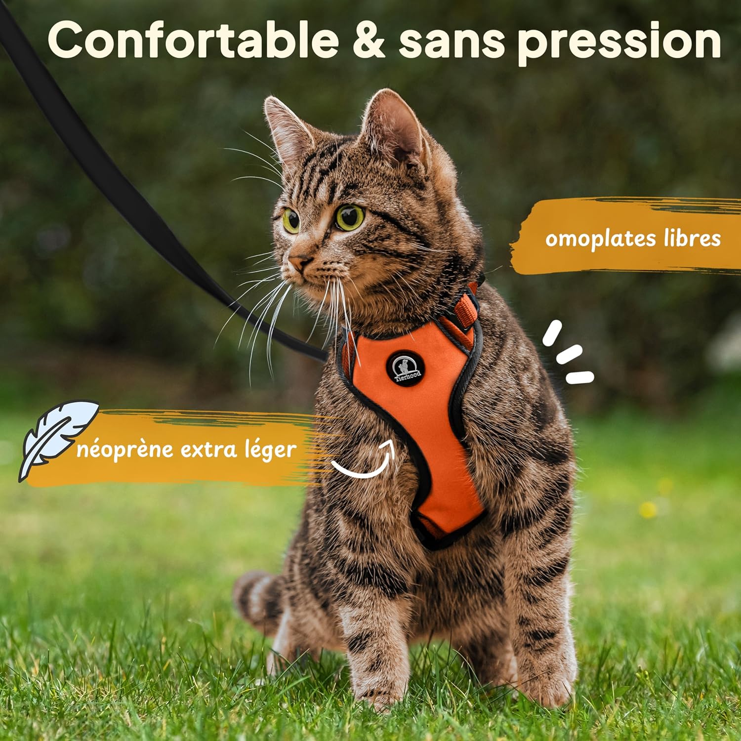 Tierhood Harnais pour Chat avec Laisse - Anti Évasion pour Chat Adulte et Chaton - Liberté Contrôlée - Orange, Taille S S Orange