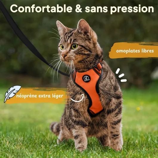 Tierhood Harnais pour Chat avec Laisse - Anti Évasion pour Chat Adulte et Chaton - Liberté Contrôlée - Orange, Taille S S Orange