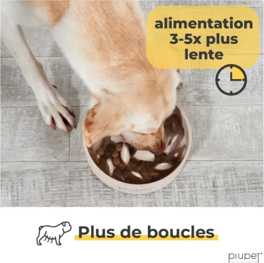 ® Gamelle Anti glouton Chien I Passe au Lave-Vaisselle I Gamelle Anti glouton Chien Grande Taille I Gamelle Chien I 1,4L 1,4L Beige