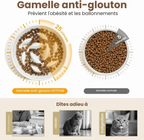 Gamelle Anti Glouton Chat Céramique Surélevée avec Bambou Support, Anti Vomissements Gamelle pour Chat Manger Lentement pour Aliment Sec Humide (Blanc, Baleine) Blanc-baleine avec support