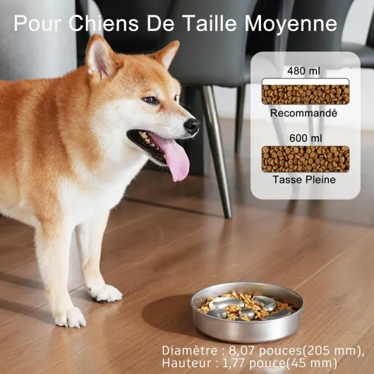 Gamelle Anti Glouton,Double paroi Acier Inoxydable,480 ML- Qualité Alimentaire Gamelle Chien Anti Glouton,Antidérapant&Labyrinthe Gamelle INOX Chien pour Chiens Moyens/Petits et Grands Chats
