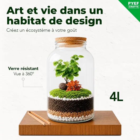DIY Kit Terrarium Plante XL avec Verre 4L - Terrarium Verre - Kit DIY a Faire Pousser pour Jardin en Bouteille - (sans Plante) Kit avec Bouteille 4L