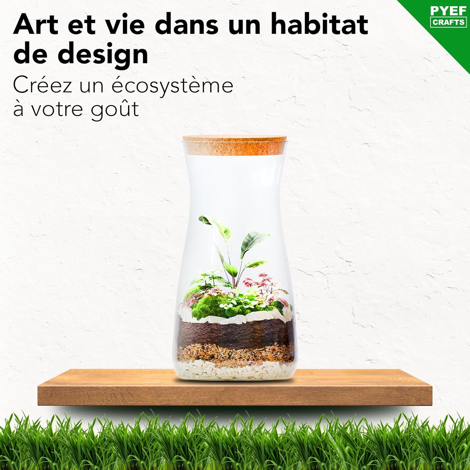 Kit Terrarium Plante DIY avec Verre - Kit Prêt-à-Pousser pour la Création de Jardin en Bouteille - Prêt-Pousser Terrarium - Set pour Faire Pousser (sans la Plante) Kit avec Bouteille
