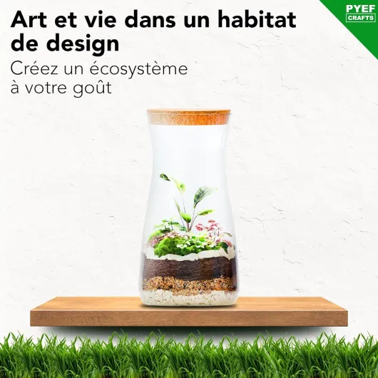 Kit Terrarium Plante DIY avec Verre - Kit Prêt-à-Pousser pour la Création de Jardin en Bouteille - Prêt-Pousser Terrarium - Set pour Faire Pousser (sans la Plante) Kit avec Bouteille