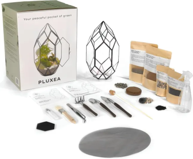PLUXEA - Kit de Terrarium Complet DIY pour Plantes avec Substrat et 10 Outils Inclus - Structure en Verre Design Géométrique - Écosystème Autonome, Coffret Créatif (sans Plantes)