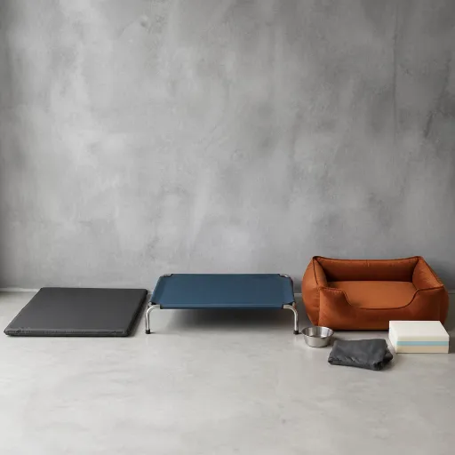 Choisir le panier chien idéal : du simple couchage au véritable lit de santé