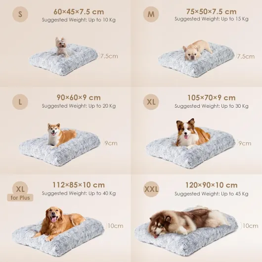 71bUiztpeDL._AC_SL1500_