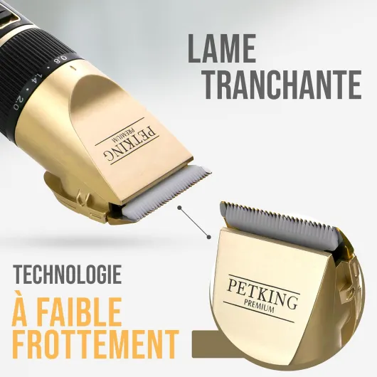 Tondeuse pour Chiens, Kit de Toilettage Professionnel pour Pelages épais, Compatible Avec les Chiens et les chats - Tondeuse Sans fil et Silencieuse, Idéale pour les Chien et les Chats Dorée1