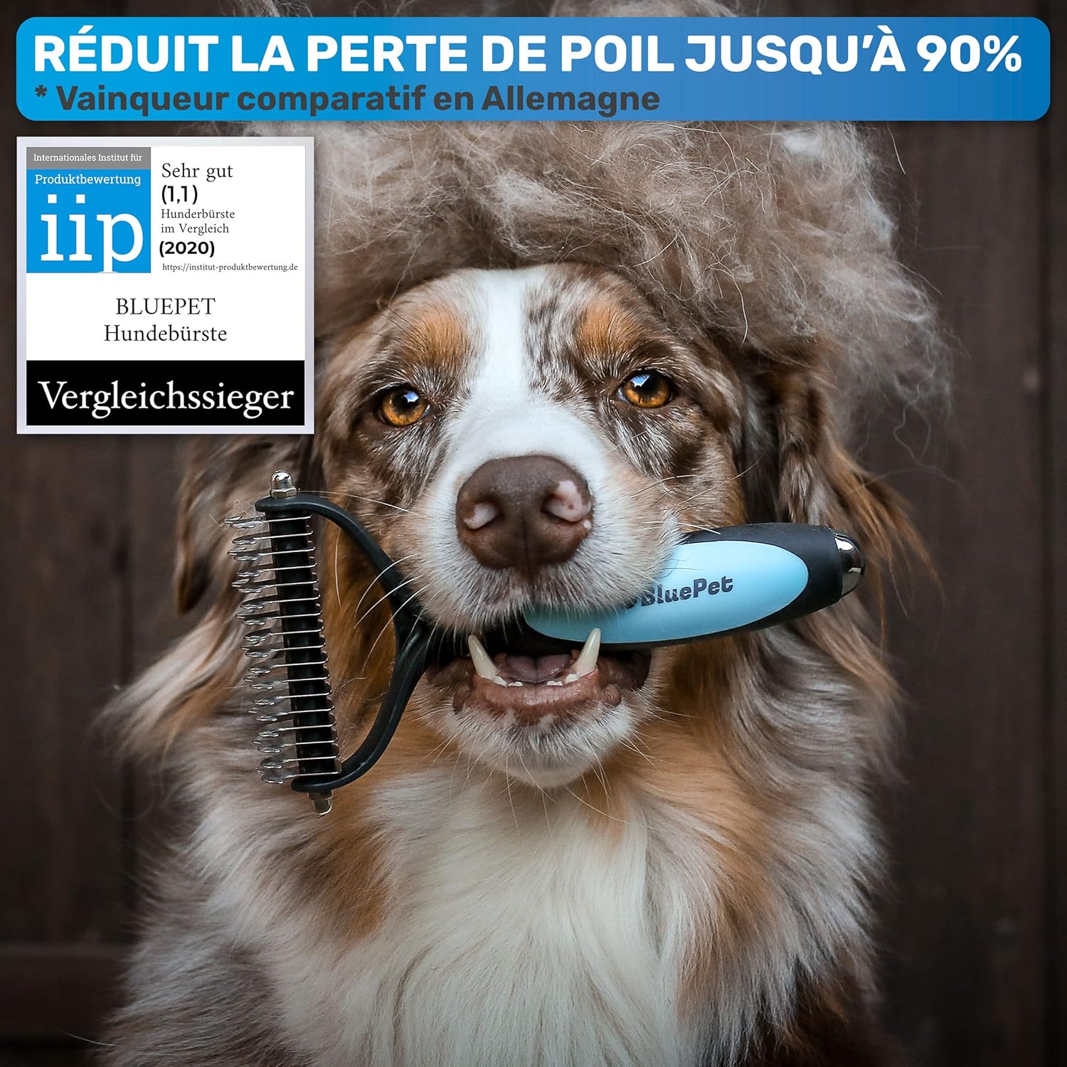 Brosse Chiens & Chats à Poil Long, Peigne Démêlage Professionnel, Pour Sous Poil et Nœuds, Étrille Démêlant pour Poils Longs, Râteau de Toilettage, Demelant Chien Chat, Élimine Poils Morts Bleu M-L Chiens