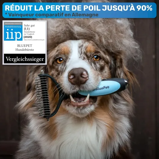 Brosse Chiens & Chats à Poil Long, Peigne Démêlage Professionnel, Pour Sous Poil et Nœuds, Étrille Démêlant pour Poils Longs, Râteau de Toilettage, Demelant Chien Chat, Élimine Poils Morts Bleu M-L Chiens