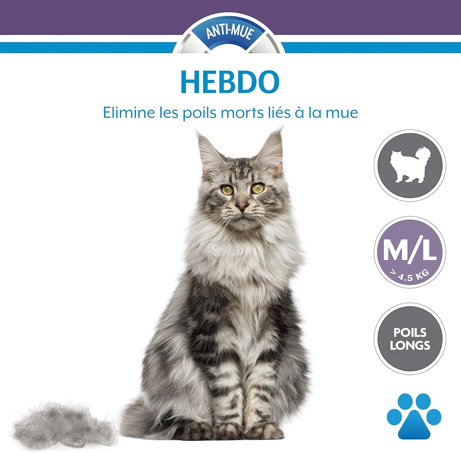 Outil de Toilettage Pour Chat de Grande Taille à Poils Longues - Elimine 90% des Poils – Nettoyage en 1 clic - Conçu et Recommandé par des Professionnels - Sans Bisphénol A,Noir L Premium Unique