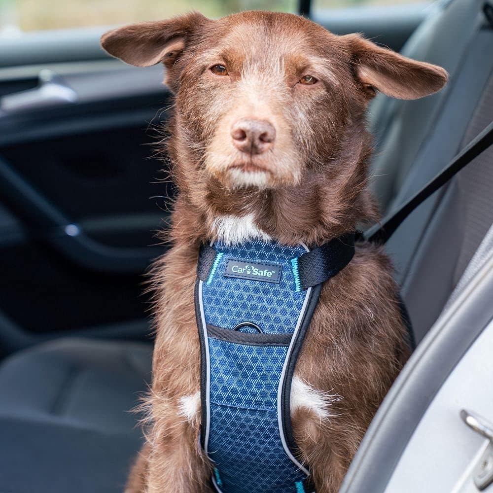 Harnais de sécurité pour Chien, testé en Cas de Collision Jusqu’à 32 kg / 70 Livres, Assure la sécurité des Chiens en Voiture, Confortable et rembourré, Tailles XS, S, M et L