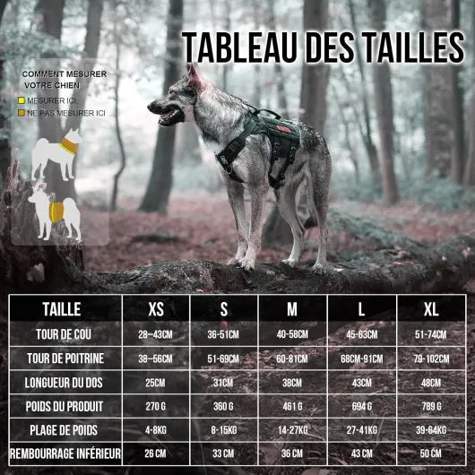 Harnais de sécurité réglable pour chiens de grande et moyenne taille, En maille Aire, Ultra respirant, Avec 2 poignées, Gilet pour chien Noir XL