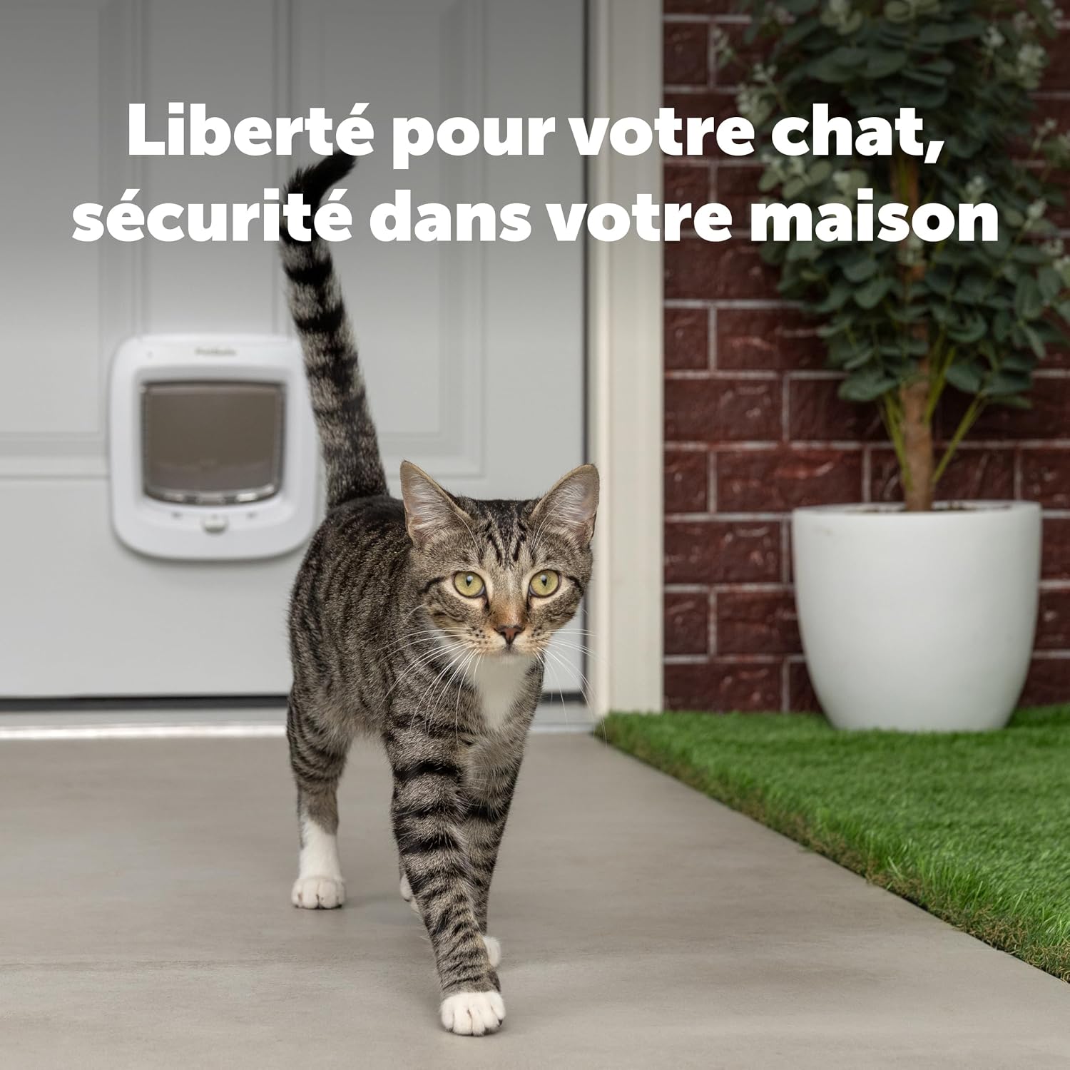 Chatière à Puce Électronique - pour l'intérieur ou à l'extérieur - Accès RFID Multi-Utilisateur pour jusqu'à 40 Animaux - 4 Options de Fermeture, Installation Facile - Blanc Blanc Chatière à puce électronique