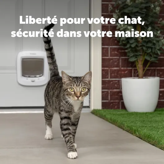 Chatière à Puce Électronique - pour l'intérieur ou à l'extérieur - Accès RFID Multi-Utilisateur pour jusqu'à 40 Animaux - 4 Options de Fermeture, Installation Facile - Blanc Blanc Chatière à puce électronique
