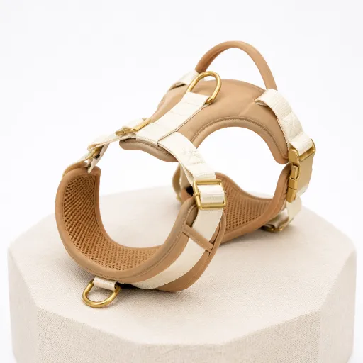 Choisir un harnais pour chien : confort, sécurité et liberté de mouvement au quotidien