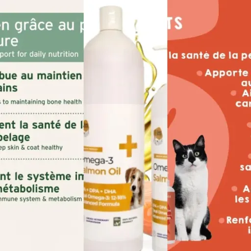 Top Huile de saumon chat
