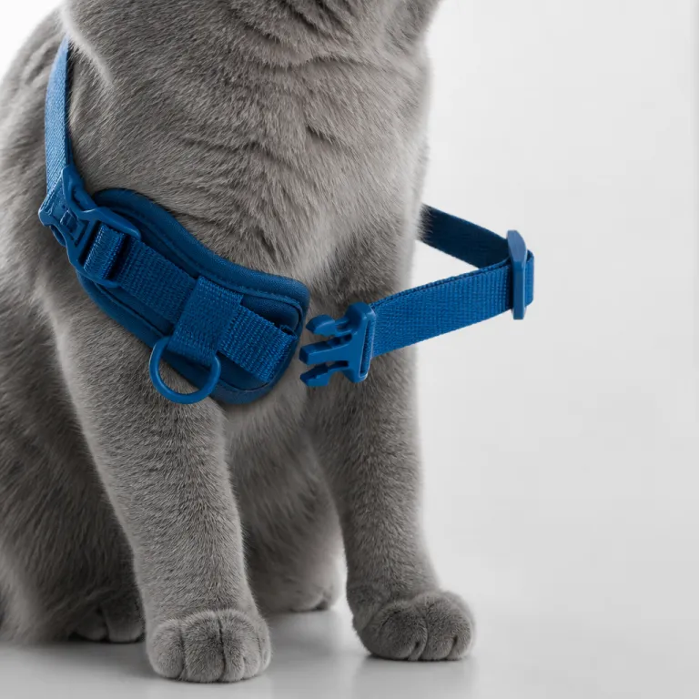 Comment installer un harnais pour chat en toute sécurité et sérénité