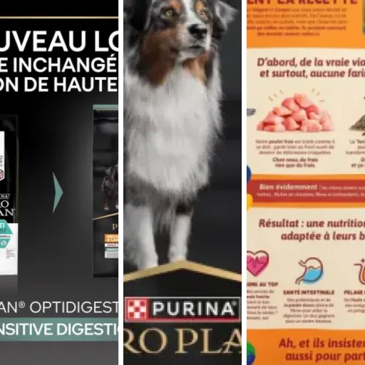 Top Croquettes chien adulte