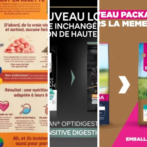 Top Croquettes chien sans céréales