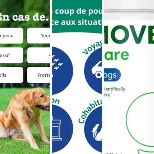 Top Complément alimentaire chien
