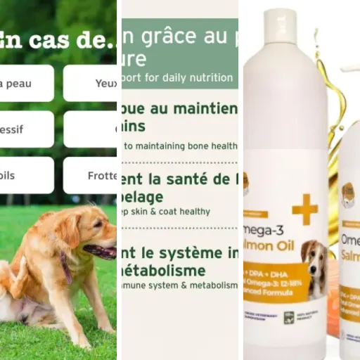 Top Huile de saumon chien